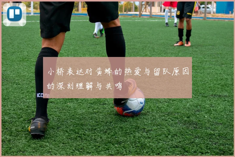 小桥表达对黄蜂的热爱与留队原因的深刻理解与共鸣